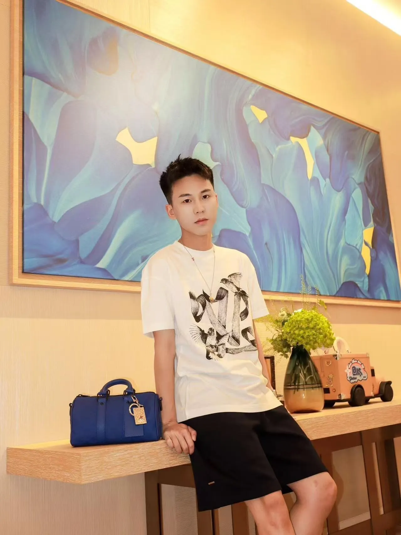 Louis Vuitton/Louis Vuitton white dove print short sleeves